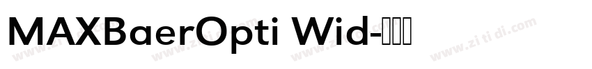 MAXBaerOpti Wid字体转换